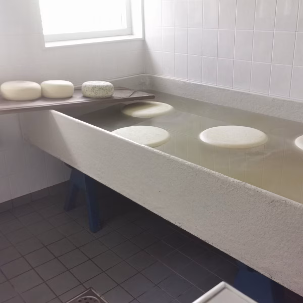 Boerenkaastocht